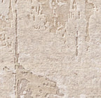 Sabiri Rug